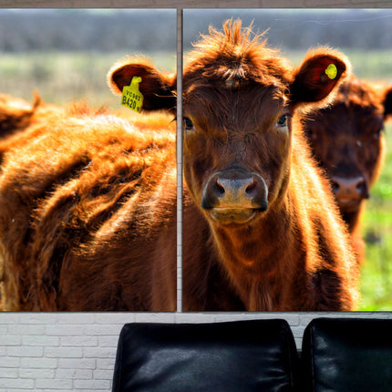Farm wall art Cow decor Farm animal decor Texas home decor Kitchen wall art Cow print Farmer gift Multi-panel canvas Canvas art print