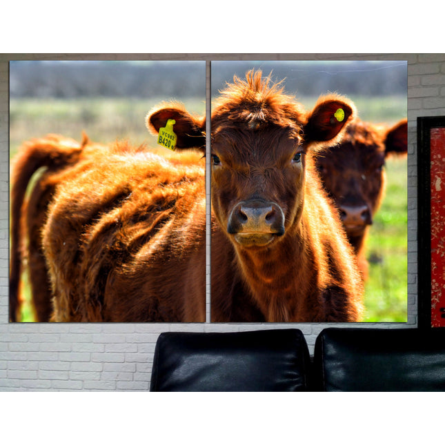 Farm wall art Cow decor Farm animal decor Texas home decor Kitchen wall art Cow print Farmer gift Multi-panel canvas Canvas art print