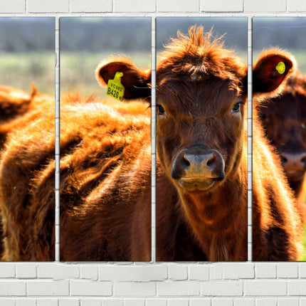 Farm wall art Cow decor Farm animal decor Texas home decor Kitchen wall art Cow print Farmer gift Multi-panel canvas Canvas art print