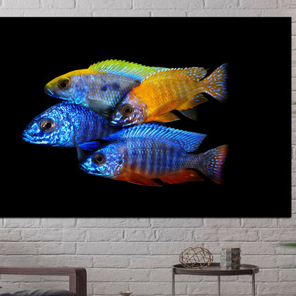 Fish wall art Big poster Colored fish One of a kind Fish wall art Aquarium art Tropical fish Modern art print Luxury wall art Fish on canvas