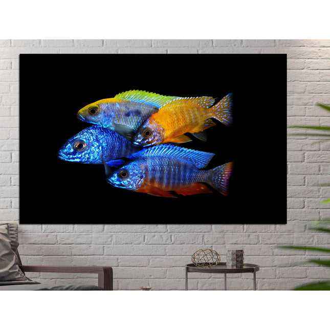 Fish wall art Big poster Colored fish One of a kind Fish wall art Aquarium art Tropical fish Modern art print Luxury wall art Fish on canvas