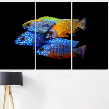 Fish wall art Big poster Colored fish One of a kind Fish wall art Aquarium art Tropical fish Modern art print Luxury wall art Fish on canvas