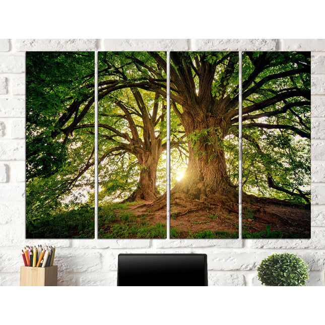 Ancient tree on canvas Tree canvas print Extra large art Nature print Green Forest Enchanted forest art Tree canvas print Landscape canvas