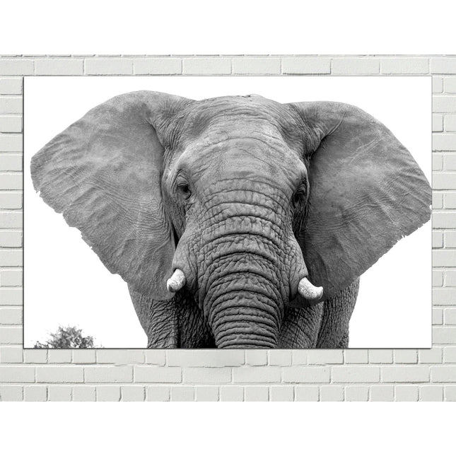 Indian elephant Big poster Elephant on canvas Safari Elephant wall art African home decor Indian elephant Canvas wild africa