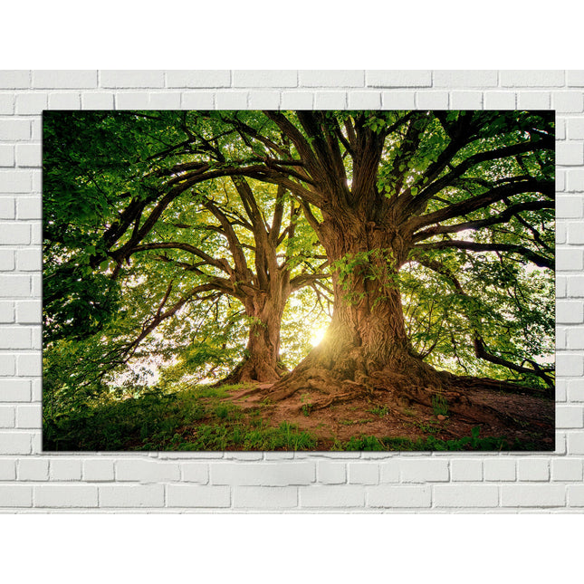 Ancient tree on canvas Tree canvas print Extra large art Nature print Green Forest Enchanted forest art Tree canvas print Landscape canvas