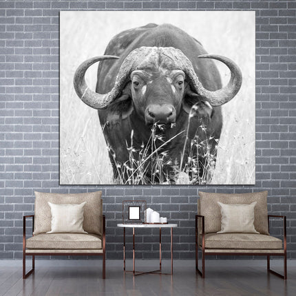 Buffalo new york Bison art Texas bison Buffalo wall art Picture of a buffalo American history art Buffalo on canvas