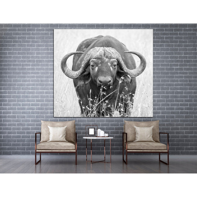 Buffalo new york Bison art Texas bison Buffalo wall art Picture of a buffalo American history art Buffalo on canvas